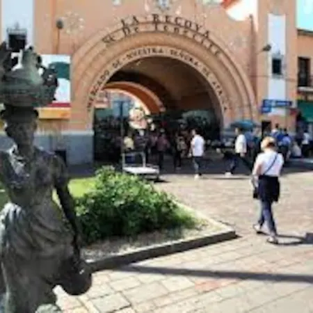 Bright Lovely Quiet Flat Very Centric In Sc