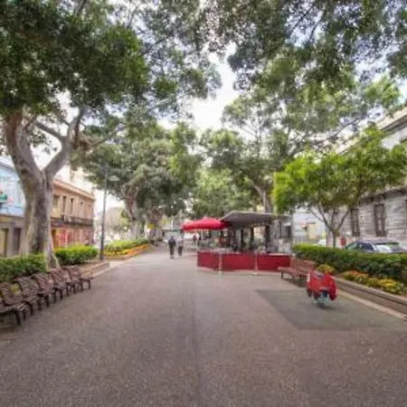 דירה Bright Lovely Quiet Flat Very Centric In Sc סנטה קרוז דה טנריף