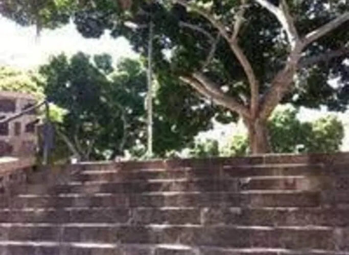 公寓 Bright Lovely Quiet Flat Very Centric In Sc *