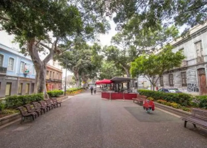 公寓 Bright Lovely Quiet Flat Very Centric In Sc 圣克鲁斯-德特内里费