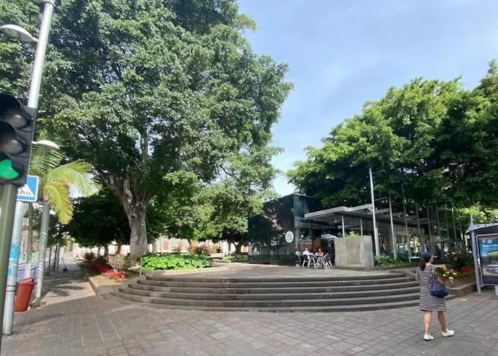 Bright Lovely Quiet Flat Very Centric In Sc